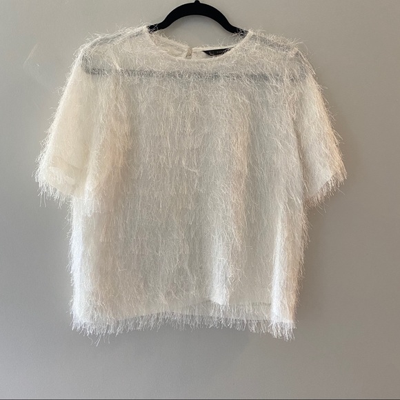 Zara Tops - Zara | Shag Blouse